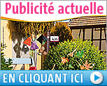 Publicit� actuelle
