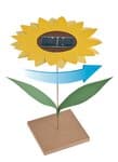 Solar-Sonnenblume