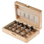 Set di punte Profi Forstner, 5 parti