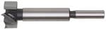 Forstnerbohrer DIN 7483 g (25 mm)