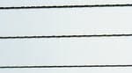 Laubs�gebl�tter  rundgezahnt,  12 St�ck Gr. 1