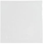Flachbeutel, 100 St�ck (0,03 x 145 x 145 mm)