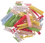PINCES A LINGE EN BOIS /48PCS