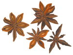 ANIS ETOILE NATUREL 2,5CM /10G