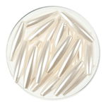 Olive di cera,ca. 5 x 20 mm,cultura,ca. 20 pezzi