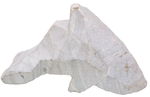 Speckstein Rohling Delphin