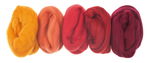 Merino-Kammzug, superfein 5 Farben � 10g Rot-T�ne