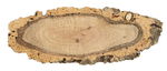 ECORCES DE LIEGE /12PCS