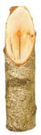 Birkenst�mmchen (ca. 8 - 11 cm, 35 cm lang)