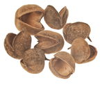 Buddha Nuts, 8 St�ck natur (12cm)