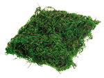 MOUSSE NATURELLE VERT /20G