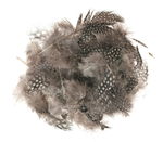 Assortimento di piume 'Faraona', 1 conf.