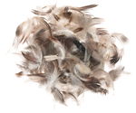 Assortimento di piume 'Mix con piume marroni'