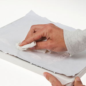 Powertex Powerprint- L�quido p.transferir im�genes