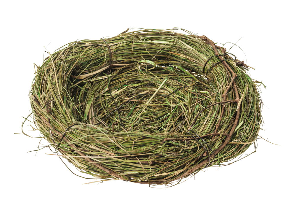 201134 Nid paille steppe