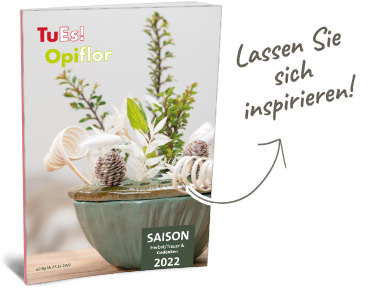 Saisonmailing Sommer 2022