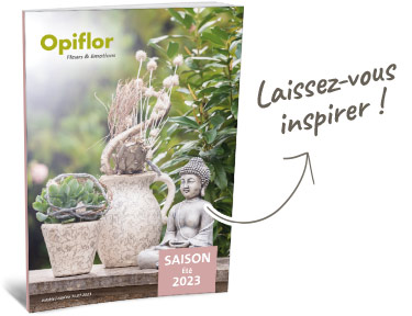 nouveau catalogue saisonnier